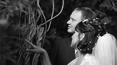 Профессиональная видеосъемка в Новосибирске | IVAN DIKUN video group